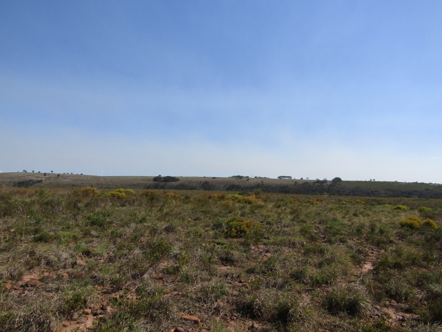 Commercial Property for Sale in Humansdorp Rural Eastern Cape